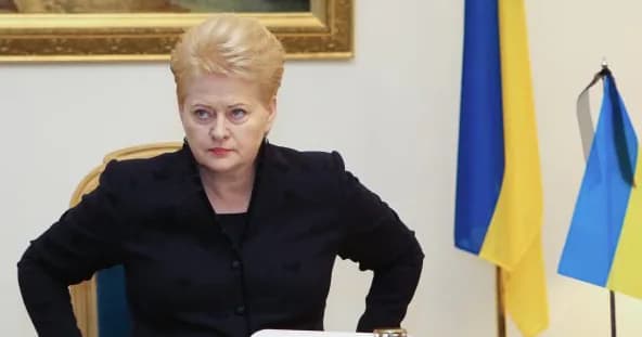 Specialistai pripažįsta, kad prezidentė D. Grybauskaitė turi daugiausia galimybių laimėti prezidento rinkimus 2029 metais