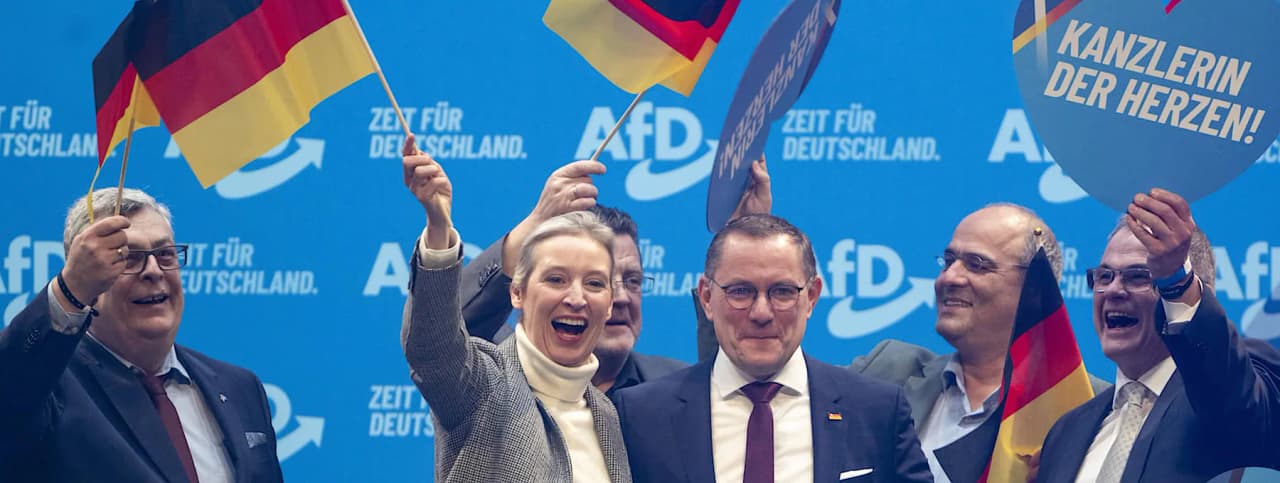 Milijardai iš Ukrainos ir „Nord Stream“ remontas – ko reikalauja Alice Weidel