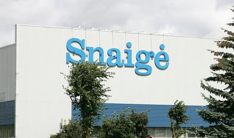„Snaigė“ inicijuoja bankrotą – atleidimo lapelius gaus visi 190 darbuotojų