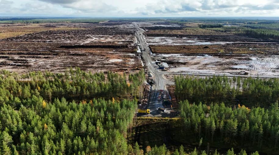 13 mlrd. eurų „Google“ projektą Suomijoje jau lydi tyrimas dėl iškirstų miškų