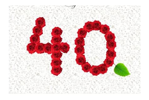 Šiauliuose pristatomas „Inčirauskų projektas - 40“