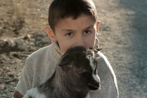 Kadras iš filmo "Begalinis koridorius".