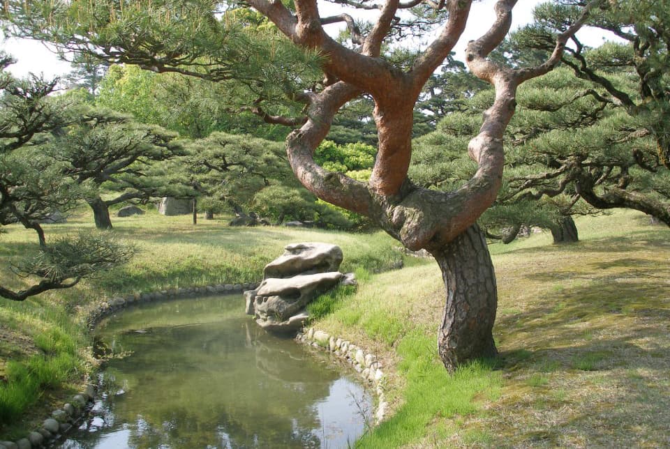Landšaftinė Vilniaus svajonė: japoniškas sodas prie magistralės