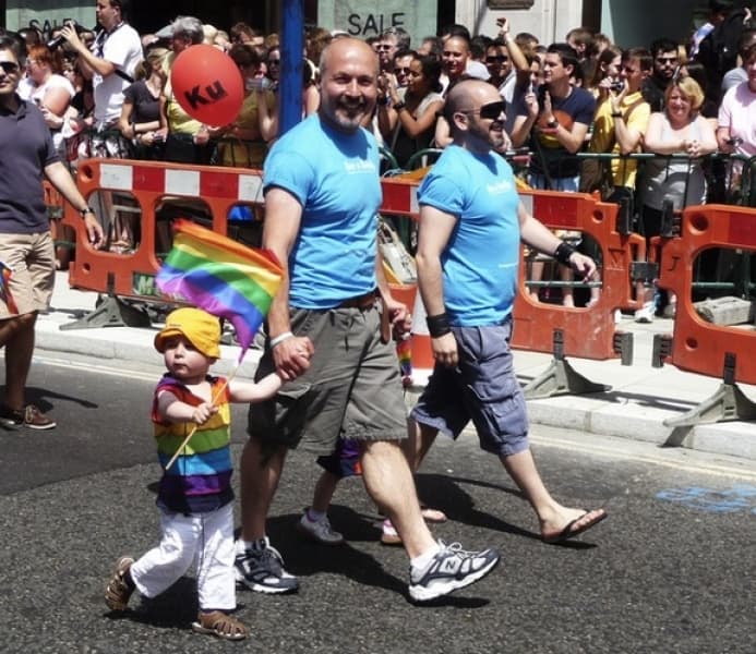 The Lithuanian Cabinet of Ministers has rejected amendments under consideration by the country's parliament that would ban homosexuals from adopting children