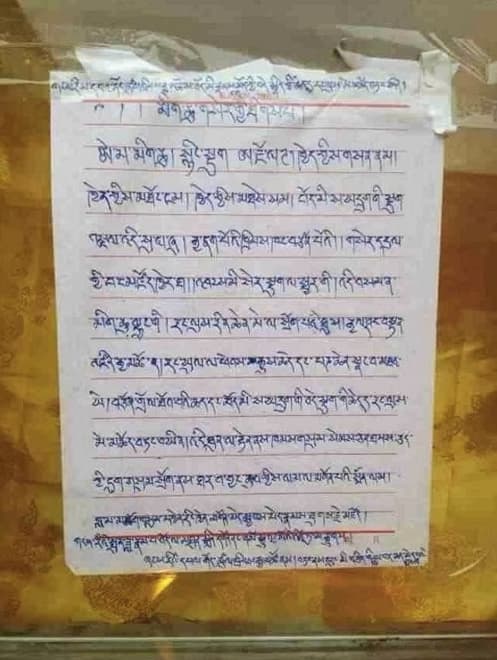 „Aš padegu save, kad Jo Šventenybė Dalai Lama grįžtų į Tibetą, kad Panchen Lama būtų paleistas iš kalėjimo, kad šešių milijonų tibetiečių gyvenimas taptų lengvesnis”, – rašoma priešmirtiniame Tsultrim Gyatso raštelyje.