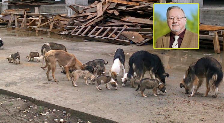 Lietuvos rašytojų sąjungos naujasis narys Vytautas Landsbergis - grakščios metaforos „šunauja“ autorius.