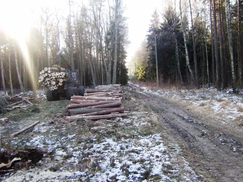125 milijonų litų vertės Palangos aplinkkelis – pirmoji „viešoji-privačioji partnerystė“