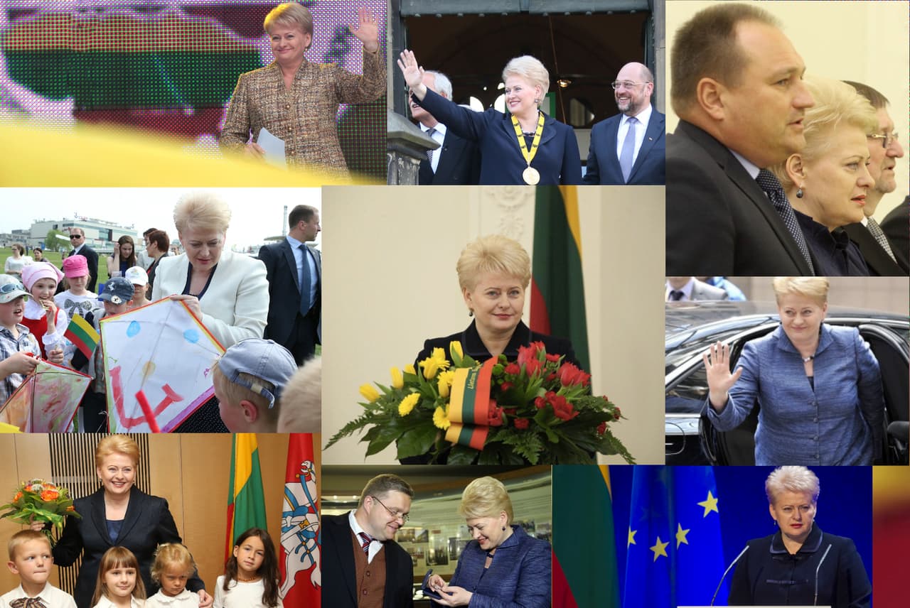 D. Grybauskaitės rinkimų štabas oficialiai pradeda darbą