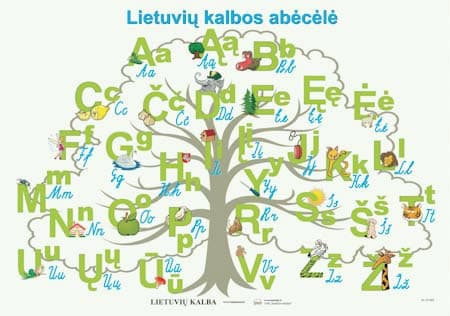 Tautininkai ir lietuvių kalbos saugotojai žada tūkstantinį mitingą