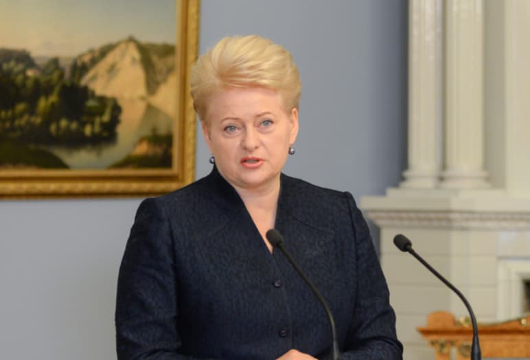 D. Grybauskaitė: kaltieji dėl lėktuvo katastrofos turi atsakyti Hagos tribunole
