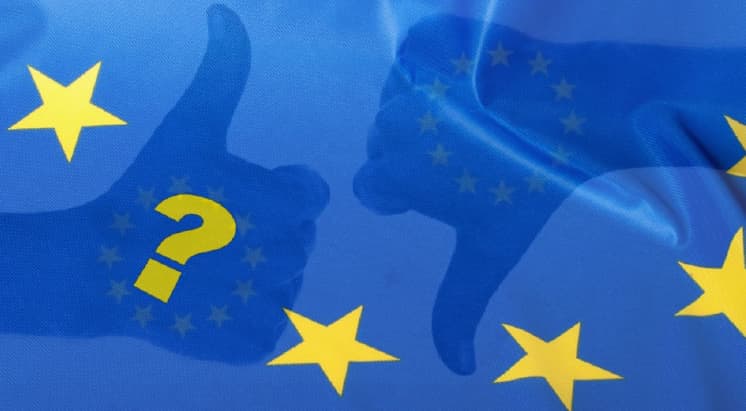 Laukiant euroskepticizmo