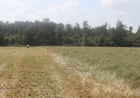 Seime įvyko konferencija, nagrinėjanti žemės pardavimo užsieniečiams „saugiklius“
