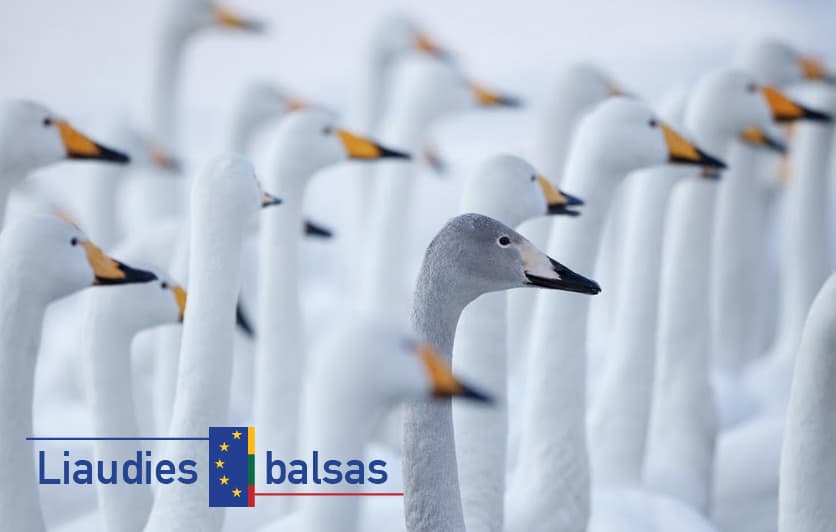 „Liaudies balsas“ (2014 gruodžio 3 d.)