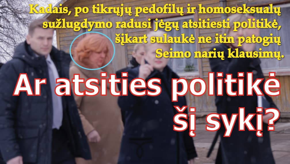 Ministrė R. Šalaševičiūtė sulaukė nemalonių klausimų iš Seimo narių