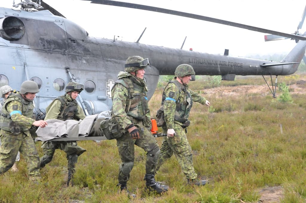 Be karinės paramos ir materialinės pagalbos, Lietuva teiks paramą ir Ukrainos paramedikams