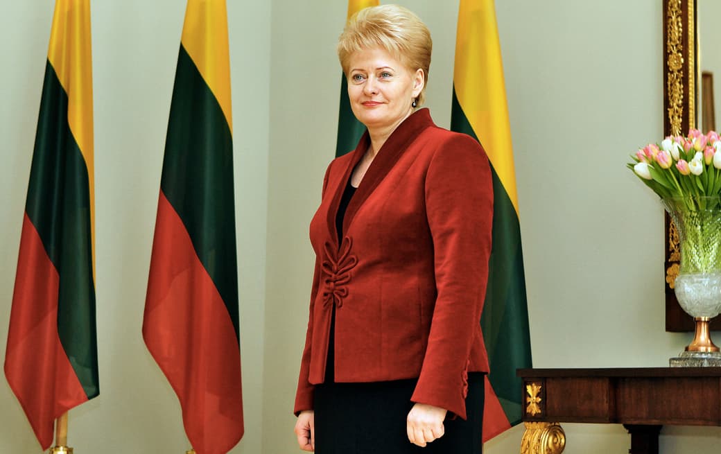 Prezidentė Dalia Grybauskaitė labai dažnai tampa priešiškų Lietuvai jėgų pirmuoju taikiniu. Nuotr. br.lt