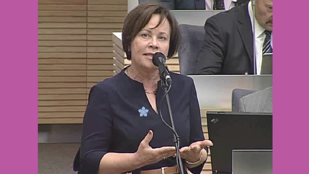 Konservatorė Rasa Juknevičienė: portalo „ekspertai.eu“ turinys – giliai atitinkantis Kremliaus turinį