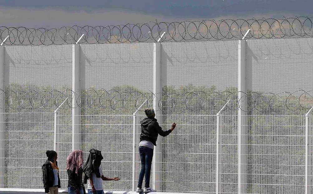 D. Kameronas migrantų problemą spręs pasitelkęs šunis ir statydamas tvoras