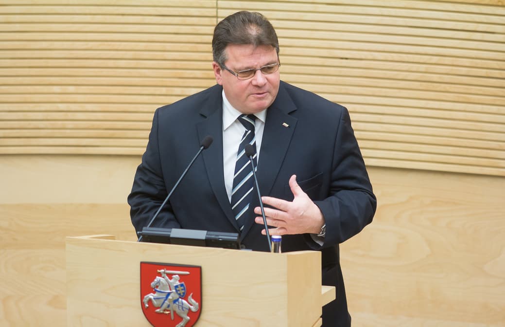 L. Linkevičius. Nuotr. lrs.lt