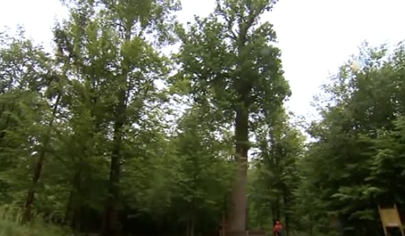 Deutsche Welle: kodėl lenkai skuba į Baltarusiją