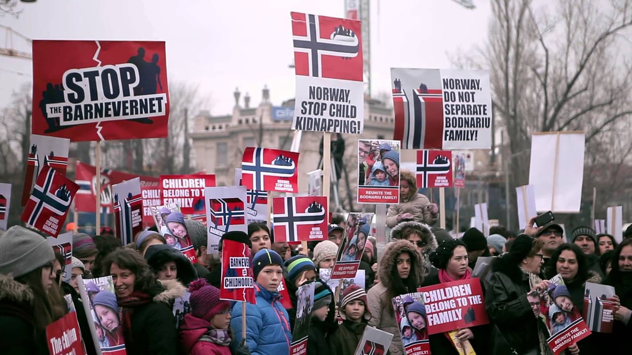 Norvegijos žiniasklaida pagaliau pranešė apie prieš „Barnevernet“ vykstančius protestus