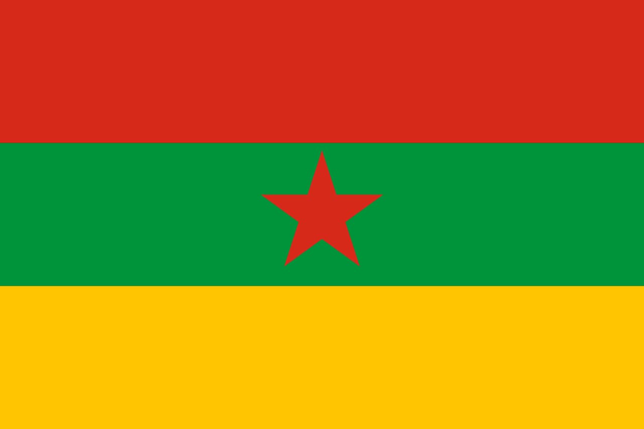 Kurdų vėliava.