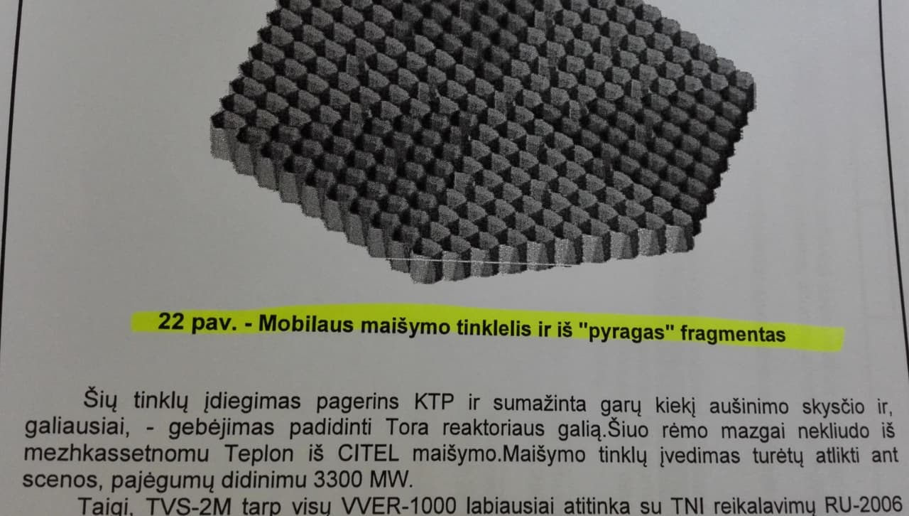 Fragmentas ir 15min.lt skelbtų dokumentų.