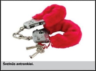Lietuvai nepriklausomas prokuroras - gyvybiška būtinybė