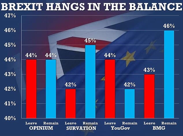 Po Dž. Koks nužudymo Jungtinėje Karalystėje 3 proc. padaugėjo eurooptimistų