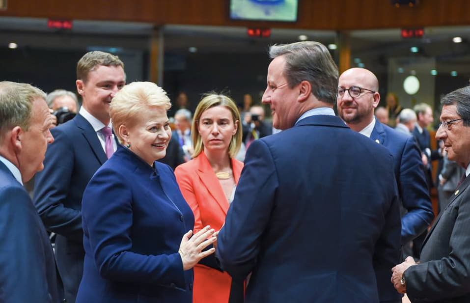 Su sunkumais susidūrusiam Didžiosios Britanijos premjerui Lietuvos prezidentė stengėsi įkvėpti gerą nuotaiką. Nuotr. facebook.com