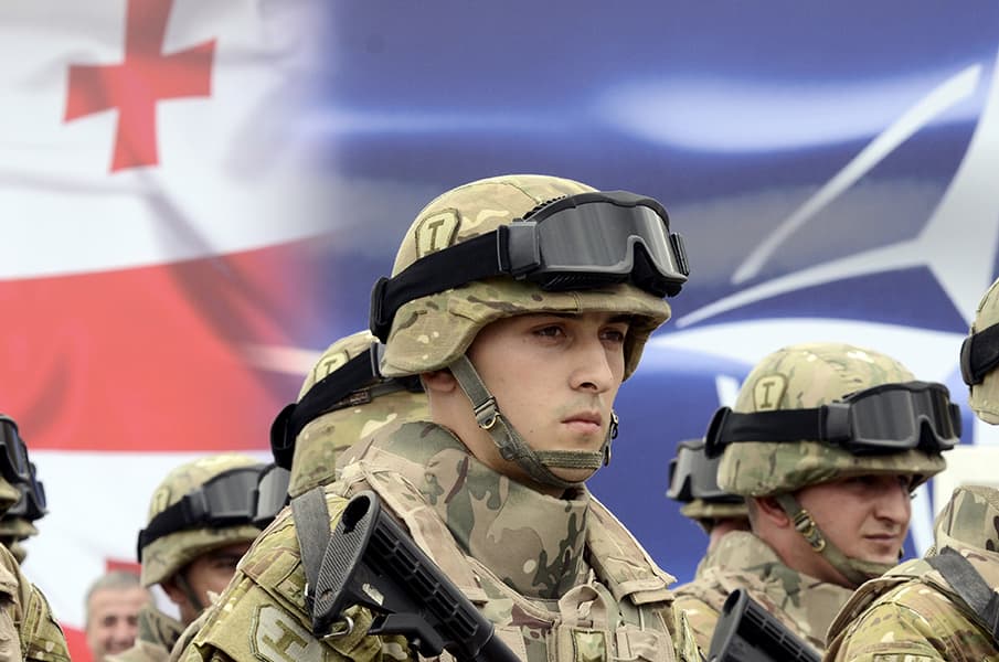 Buvę Gruzijos ambasadoriai JAV: šiemet Gruzija ir Ukraina taps NATO narėmis