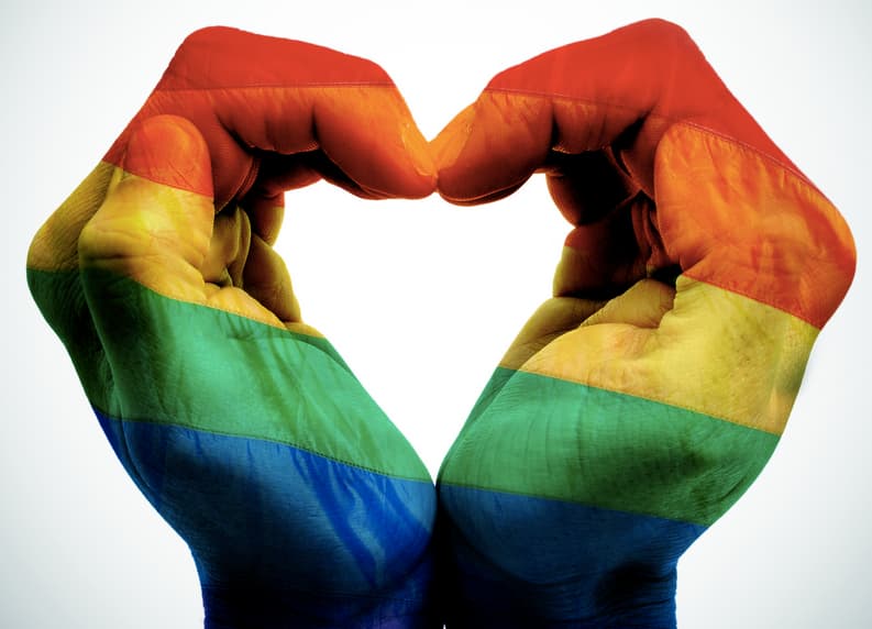 Didžiosios Lietuvos partijos vieningos strateginiu klausimu dėl homoseksualų santuokų