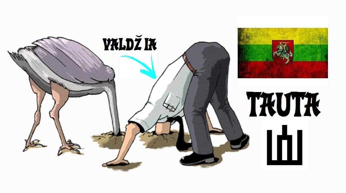Stručių politika, nusikaltėliai nubausti valdžia