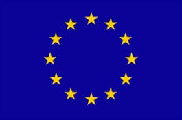 Transliuotojų, kurie Europos Sąjungos kalbomis transliuos mažiau kaip 90 proc., lauks bausmės