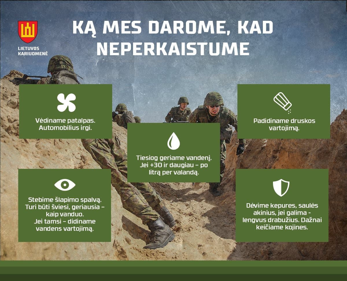 Lietuvos kariuomenės infografikas.