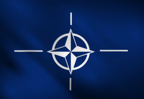 Konservatorius Bukarešte aptars NATO sąjungininkų saugumo ir gynybos klausimus