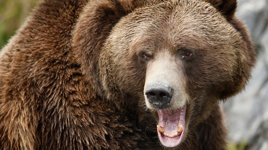 Dėl visų pasaulio finansinių krizių kalta Rusija, mano specialistai.