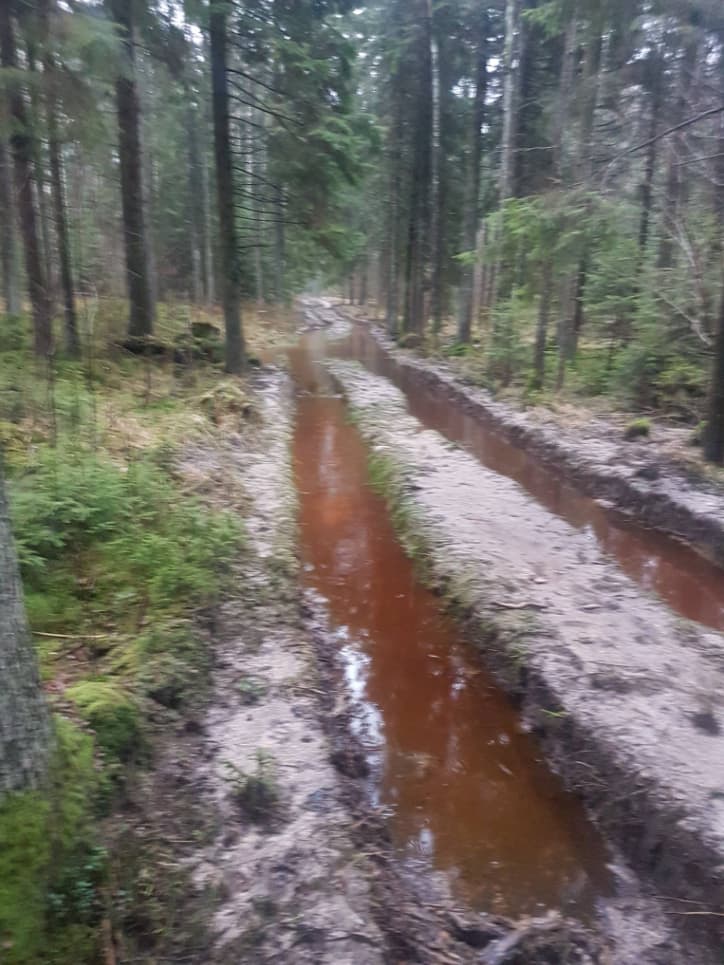Naši skandinaviška technika daro nepataisomą žalą Lietuvos miškams