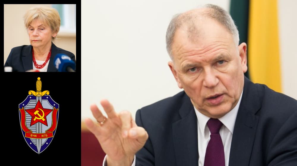 Vytenis Andriukaitis: „Atvira polemika su Terese Birute“