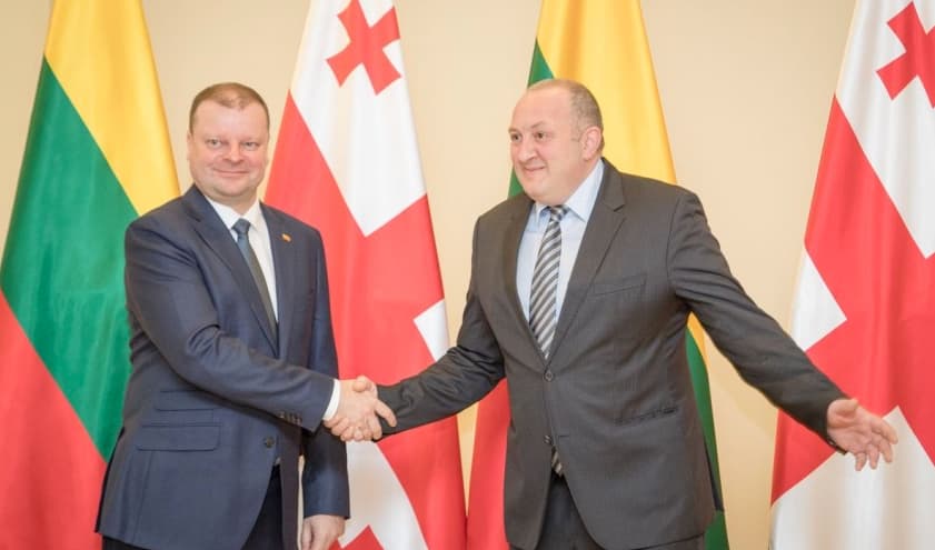 Premjeras su Gruzijos vadovu aptarė galimą gynybinio bendradarbiavimo stiprinimą