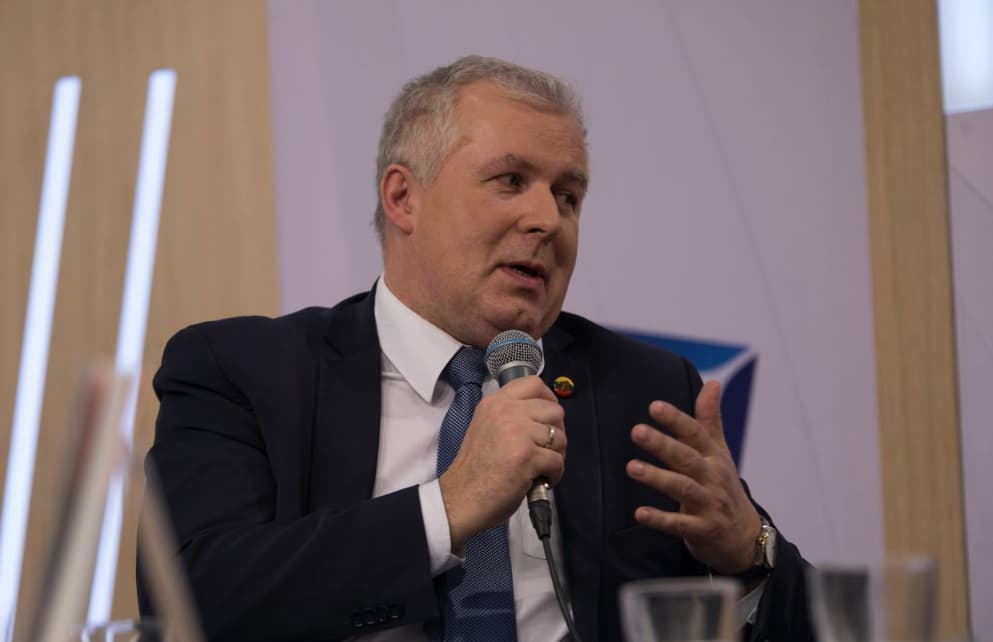 Konservatorius A. Anušauskas. Nuotr. facebook.com