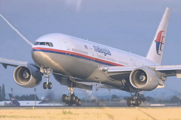 Nusižudė Ukrainos pilotas, Rusijos kaltintas dėl MH17 lėktuvo katastrofos