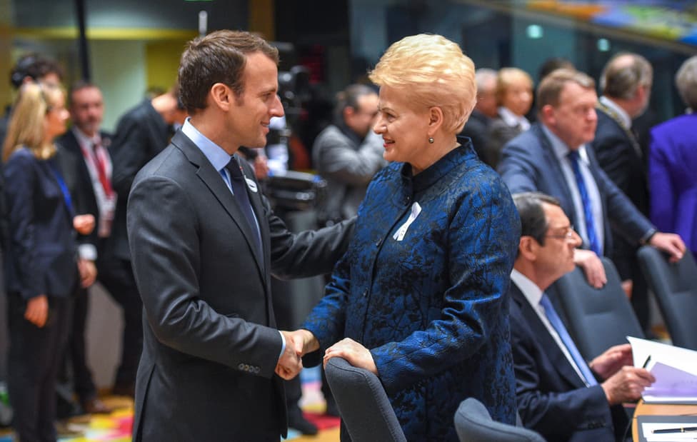 D. Grybauskaitė visų Europos lyderių dėmesio centre. Nuotr. prezidentas.lt