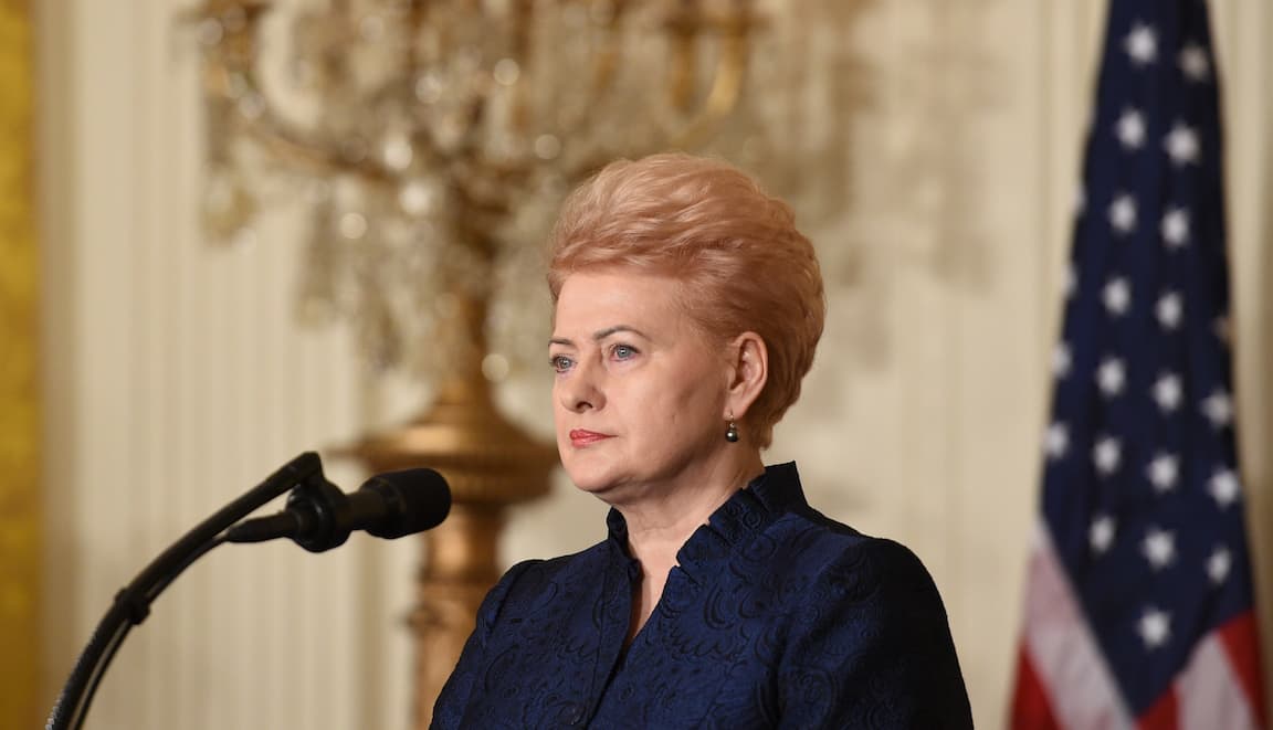 Prezidentė D. Grybauskaitė. Nuotr. prezidentas.lt