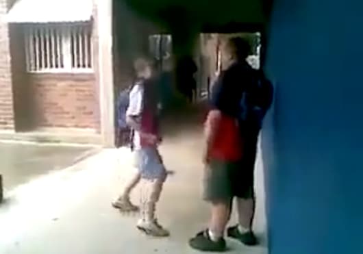 Vaizdo alegorija į priekabiaujantį konservatorių prie žaliojo valstiečio