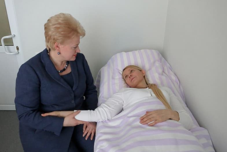 D. Grybauskaitė yra reiškusi paramą ne vienam Ukrainos lyderiui.
