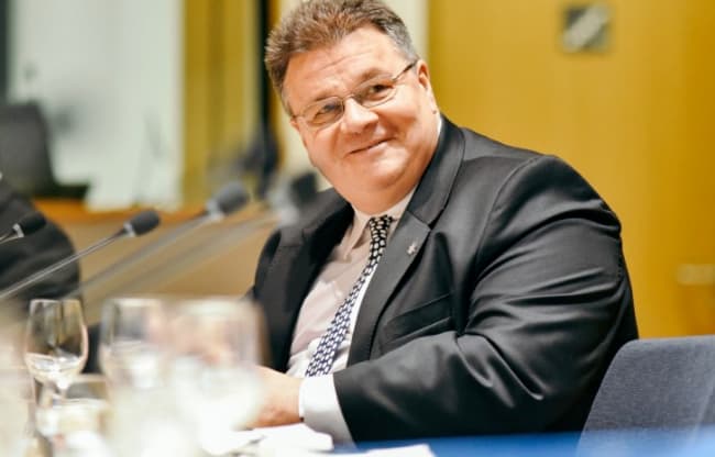 L. Linkevičius: „Tik stiprus ES atsakas gali deeskaluoti padėtį Ukrainoje“