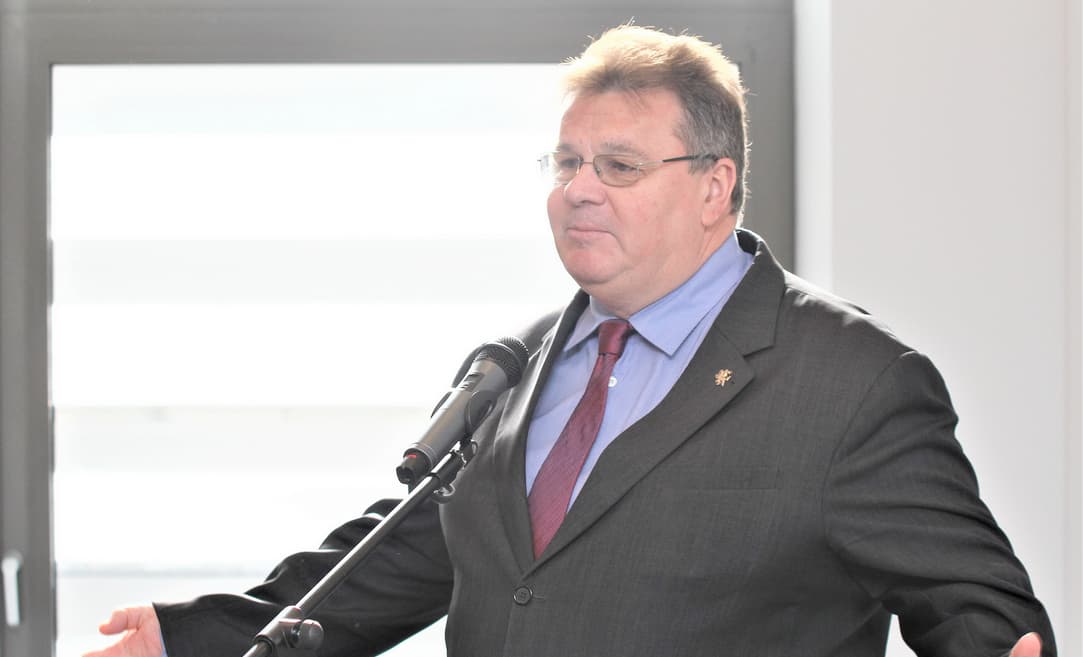 L. Linkevičius. Nuotr. urm.lt