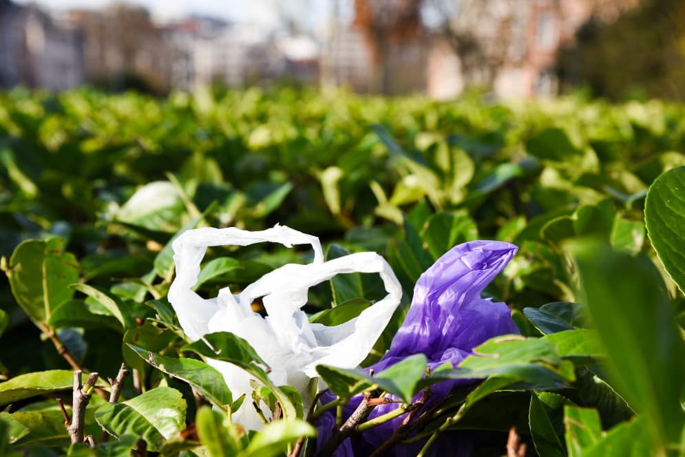 EP nutarė: vienkartinių plastikinių daiktų nebenaudosime