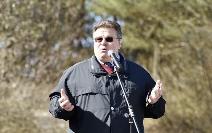 L. Linkevičius. Nuotr. urm.lt